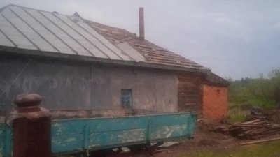 Зірваний дах та повалені дерева – наслідки шквального вітру у Шостці та районах