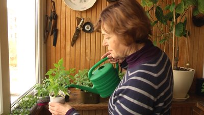 На Житомирщині долучаються до ініціативи громадянського суспільства "Сади перемоги" На Житомирщині долучаються до ініціативи громадянського суспільства "Сади перемоги"