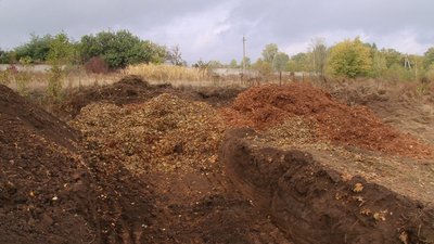 Полігон для листя Полігон для листя
