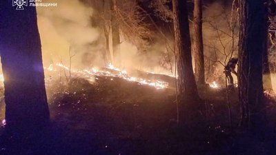 Загорання у селі Страдч Яворівського району