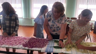 У Ганнівському ліцеї сушать пелюстки троянди / червень 2023 року У Ганнівському ліцеї сушать пелюстки троянди / червень 2023 року