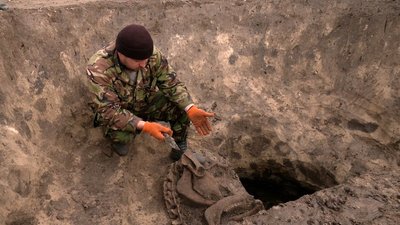 Знахідки року Знахідки року
