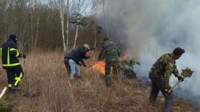 Вигоріли 29 гектарів сухостою: за добу волинські рятувальники ліквідували дев'ять пожеж