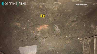 Рівненщина: жінку, яка зникла місяць тому, знайшли вбитою Рівненщина: жінку, яка зникла місяць тому, знайшли вбитою