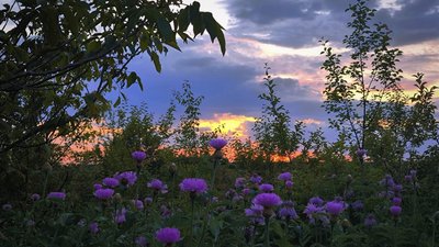 Природа Кіровоградщини