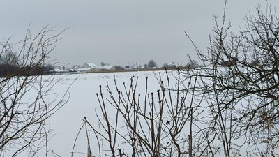 Зимовий краєвид