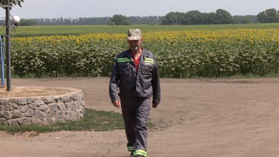 Збір озимого ріпаку на Вінниччині Збір озимого ріпаку на Вінниччині
