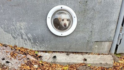 Похолодання та перші заморозки на Одещині. Якою буде погода наступного тижня