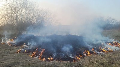 Сто підпалів сухої трави: яка ситуація з пожежами на Рівненщині та як карають за це