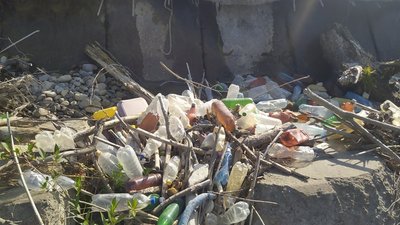 На Прикарпатті у водозаборі брудно та відсутній рибозахист, - начальник рибгосподарства На Прикарпатті у водозаборі брудно та відсутній рибозахист, - начальник рибгосподарства