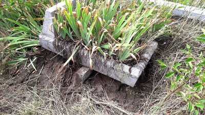 На Херсонщині затримали підозрюваного в нарузі над могилами На Херсонщині затримали підозрюваного в нарузі над могилами