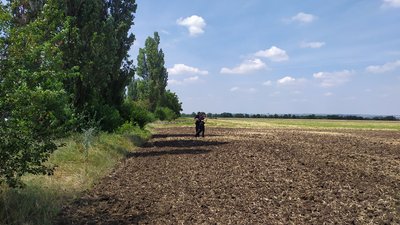На Миколаївщині впав гелікоптер. Двоє людей загинули На Миколаївщині впав гелікоптер. Двоє людей загинули
