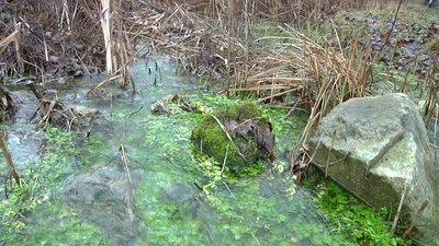 Водоспади у степу: на Херсонщині розробляють новий туристичний маршрут Водоспади у степу: на Херсонщині розробляють новий туристичний маршрут