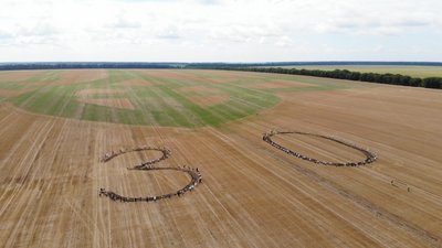 Тризуб із гірчиці: на Вінниччині зафіксували національний рекорд Тризуб із гірчиці: на Вінниччині зафіксували національний рекорд