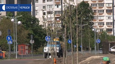 У Черкасах висадили платанову алею
