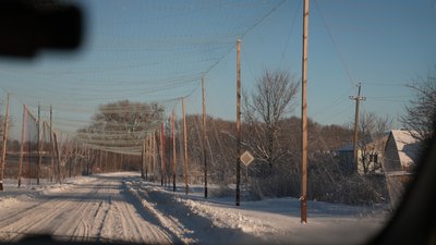 Антидронові сітки