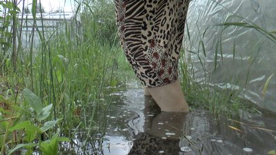 «Вода – до коліна»: у Полтаві дощовою водою затопило чотири приватні подвір’я