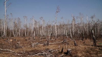 Коли і як планують відбудовувати лижну базу у Чернігові, яку зруйнували росіяни Коли і як планують відбудовувати лижну базу у Чернігові, яку зруйнували росіяни