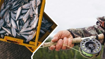 Від початку нерестової заборони на Миколаївщині зафіксували близько ста порушень правил рибальства