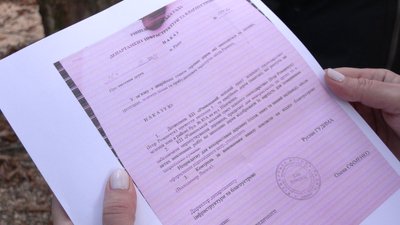 "Квітли та не були сухостоєм": у Рівному мешканці обурені вирубкою дерев біля їхнього будинку "Квітли та не були сухостоєм": у Рівному мешканці обурені вирубкою дерев біля їхнього будинку