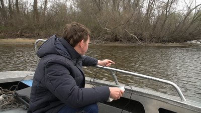 На Запоріжжі діє нерестова заборона на вилов риби На Запоріжжі діє нерестова заборона на вилов риби