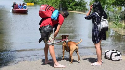 На Миколаївщині евакуйовують жителів підтоплених сіл. В обласному центрі евакуація не потрібна — начальник ОВА