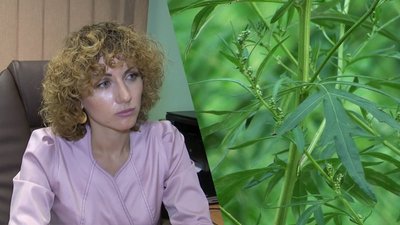 Як пережити сезонну алергію — поради запорізької лікарки