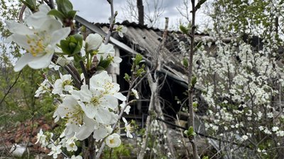 Богородичне, Святогірська громада, Донецької області 24 квітня 2026 року