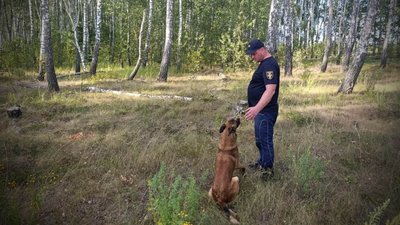 Розшукують зниклого хлопця 2011 року народження на Чернігівщині