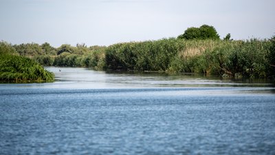 Річка Дністер на Одещині
