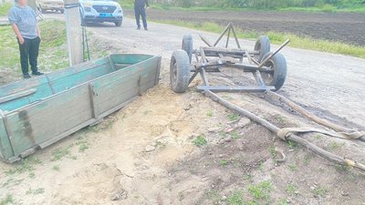 На Одещині п'яна дівчина без водійських прав на легковику врізалася у віз, на якому були діти — поліція На Одещині п'яна дівчина без водійських прав на легковику врізалася у віз, на якому були діти — поліція