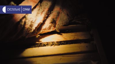 Переїхали в село та зайнялися бджільництвом: історія дауншифтерів із Сумщини Переїхали в село та зайнялися бджільництвом: історія дауншифтерів із Сумщини