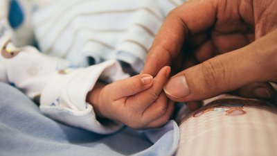На Кіровоградщині дитина отруїлася дикорослими грибами