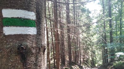 У Карпатах відновлюють маркування туристичних маршрутів У Карпатах відновлюють маркування туристичних маршрутів