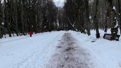 У вінницькому парку кавовою гущею посипали доріжки