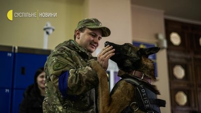 Песики-психологи на вокзалі Песики-психологи на вокзалі
