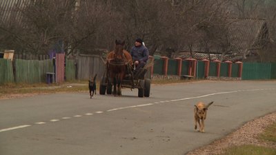 Житомирські прикордонники посилили охорону на кордоні України з Білоруссю Житомирські прикордонники посилили охорону на кордоні України з Білоруссю