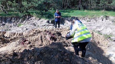 Забруднення землі тваринними рештками Забруднення землі тваринними рештками