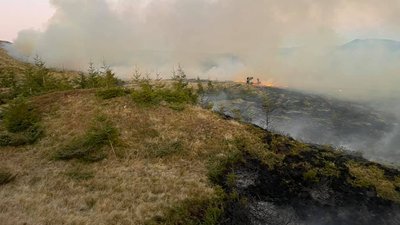 Пожежа на Закарпатських полонинах: вогонь ліквідовували понад сто людей Пожежа на Закарпатських полонинах: вогонь ліквідовували понад сто людей