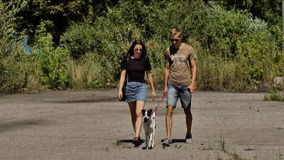 "Хвіст-фест" на карантині: як у Вінниці волонтери шукають господарів безпритульним тваринам "Хвіст-фест" на карантині: як у Вінниці волонтери шукають господарів безпритульним тваринам