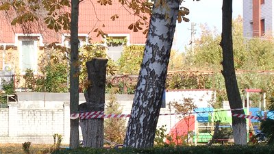 Територія кременчуцького дитсадка, де на дітей впало дерево Територія кременчуцького дитсадка, де на дітей впало дерево