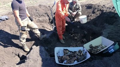 На Харківщині знайшли останки 50 солдатів Другої світової війни На Харківщині знайшли останки 50 солдатів Другої світової війни