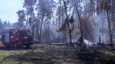 Згоріли будівля та дрова: на Черкащині сталось три пожежі