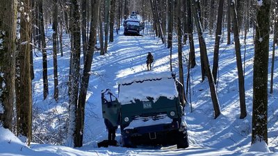 Покинуті авто та боєприпаси РФ знайшли в одній з лісосмуг Харківщини