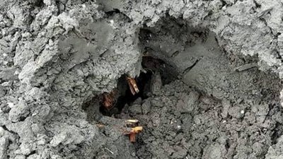 Прокуратура розслідує справу про поранення дитини через обстріли села на Херсонщині Прокуратура розслідує справу про поранення дитини через обстріли села на Херсонщині