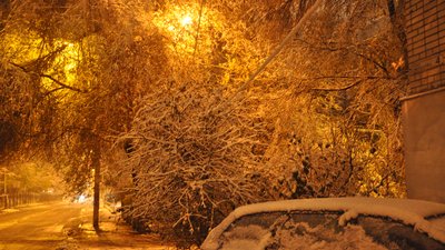 Що відбувається на вулицях Дніпра під час снігопаду: фоторепортаж Що відбувається на вулицях Дніпра під час снігопаду: фоторепортаж