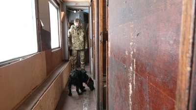 На Львівщині майбутні собаки-прикордонники склали іспити На Львівщині майбутні собаки-прикордонники склали іспити