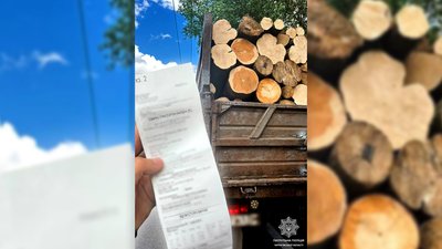 Незаконне перевезення деревини: у Чернігові зупинили 2 вантажівки без документів