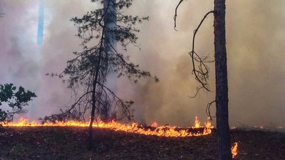 15 пожеж за добу: рятувальники Черкащини ліквідували займання на відкритих територіях