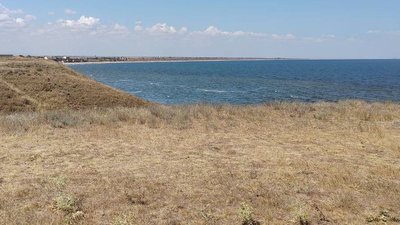 Земельні ділянки у Криму